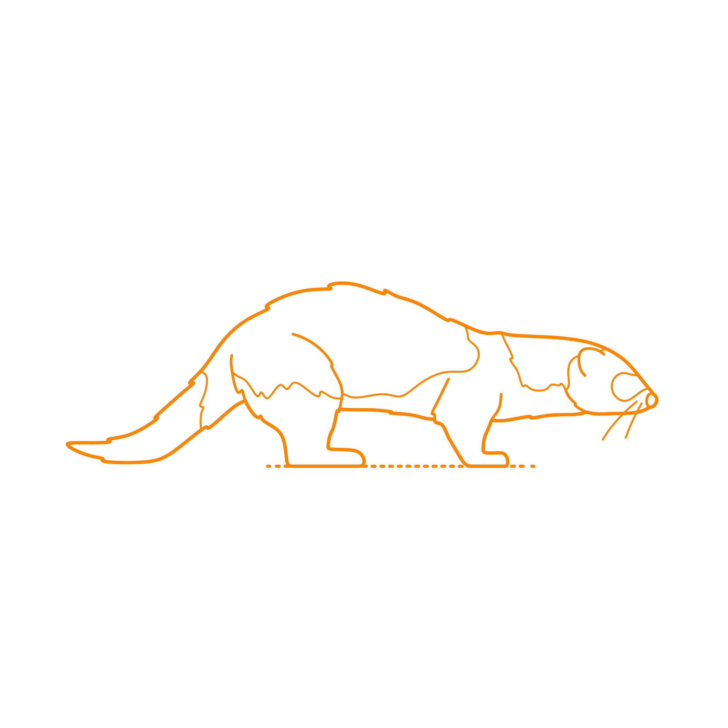 Animals Mustelids Domestic Ferret Outline Icon Svg Set Free Vectors